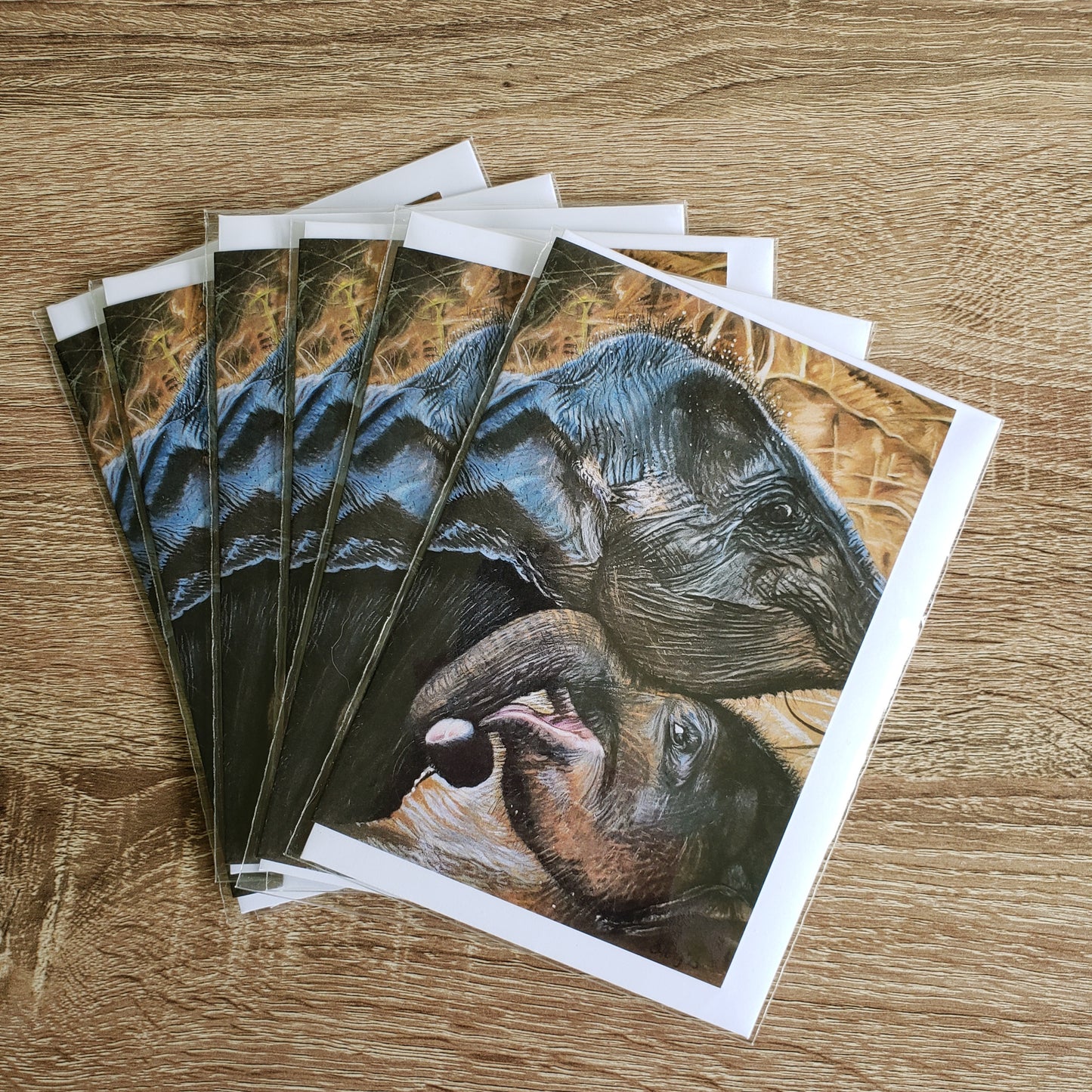 Pack of 5 baby elephant cards "Friendship"