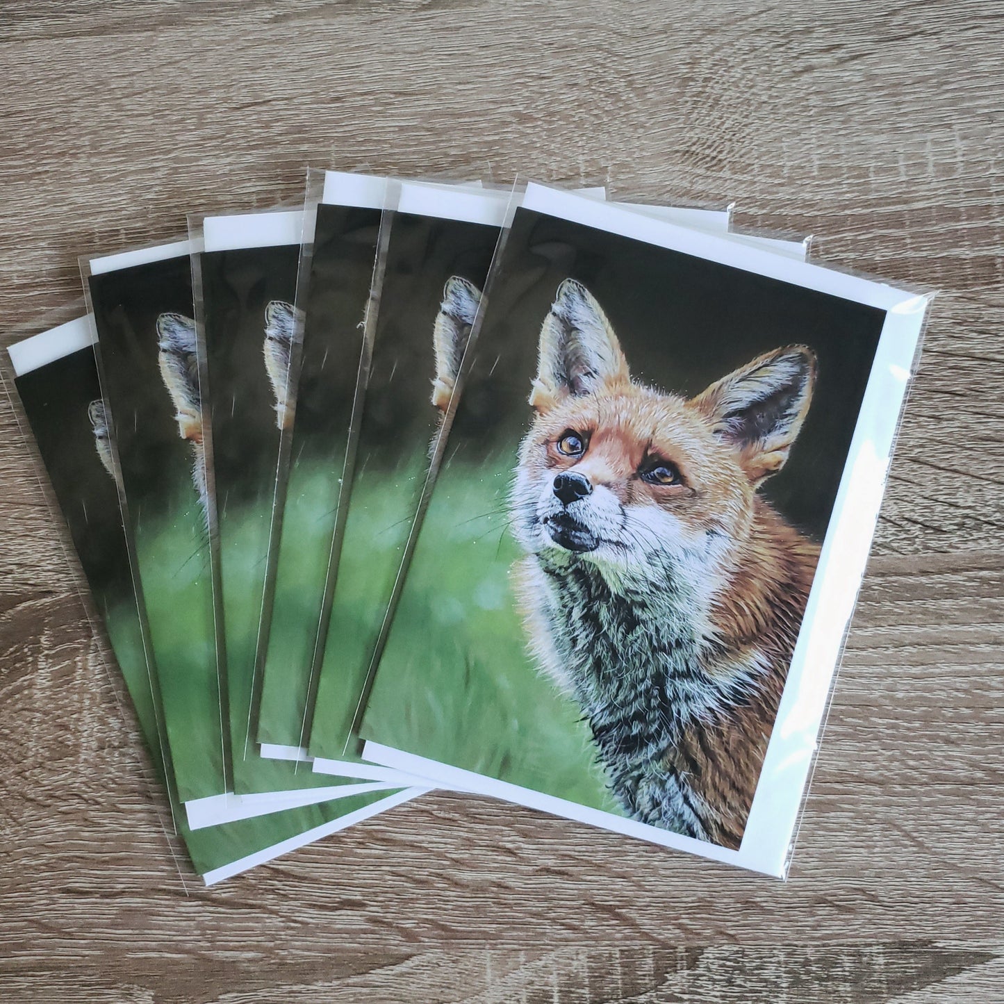 "Fox in the Rain" Pack of 5 red fox greetings cards