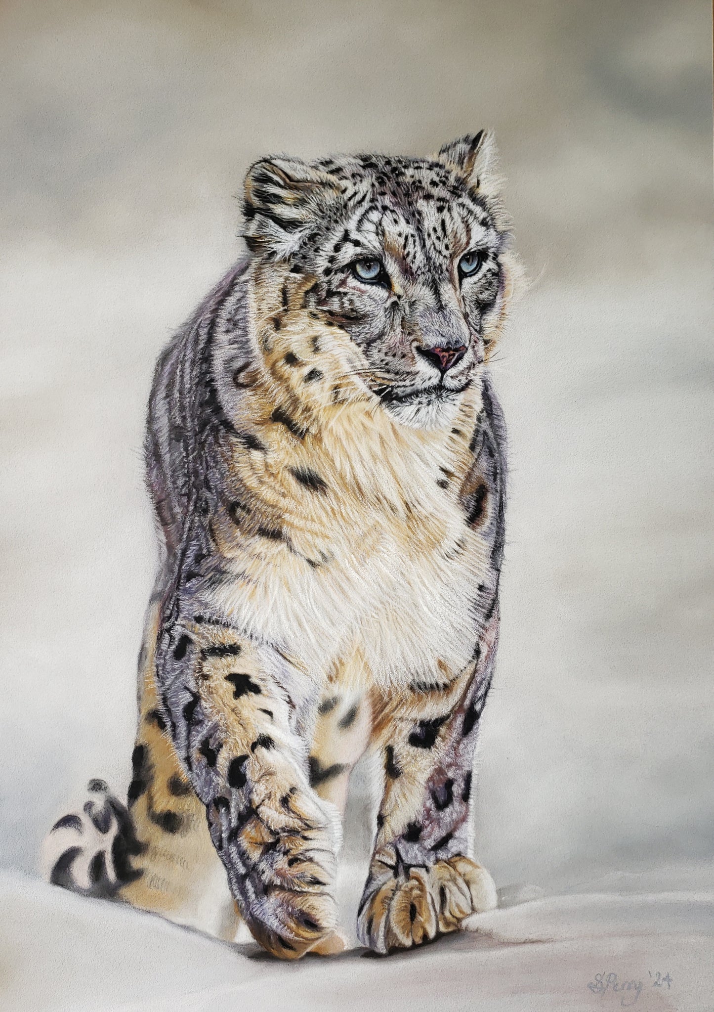 "Ghost" Snow Leopard giclee print