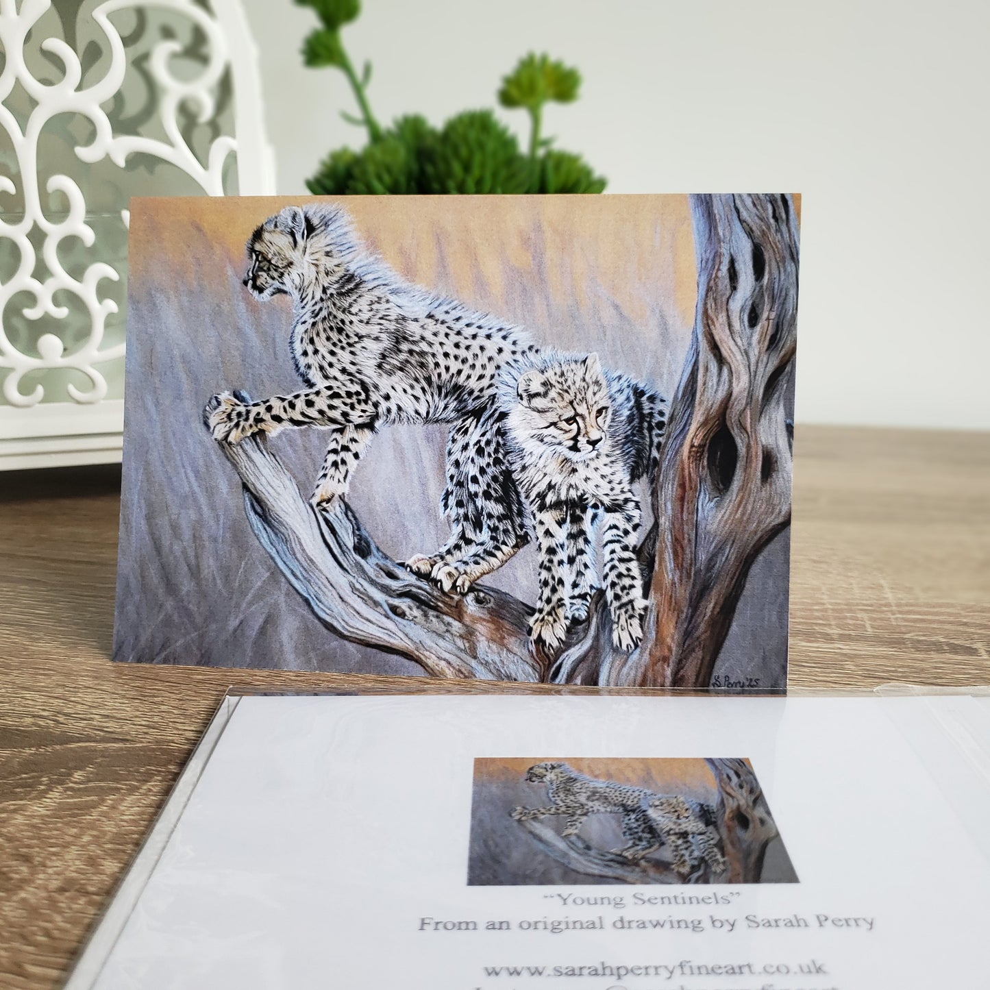 "Young Sentinels" cheetah greetings cards