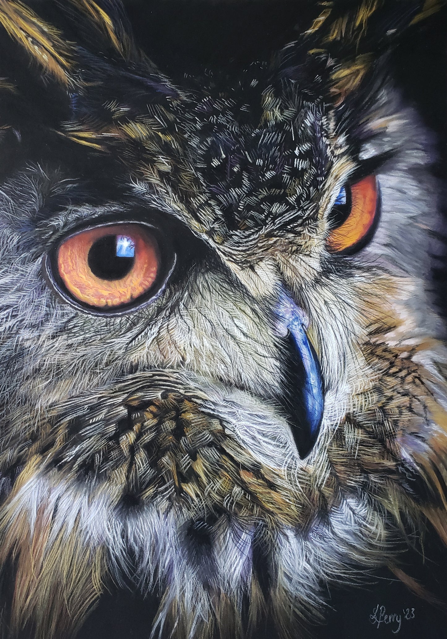 Eurasian Eagle Owl limited edition Print