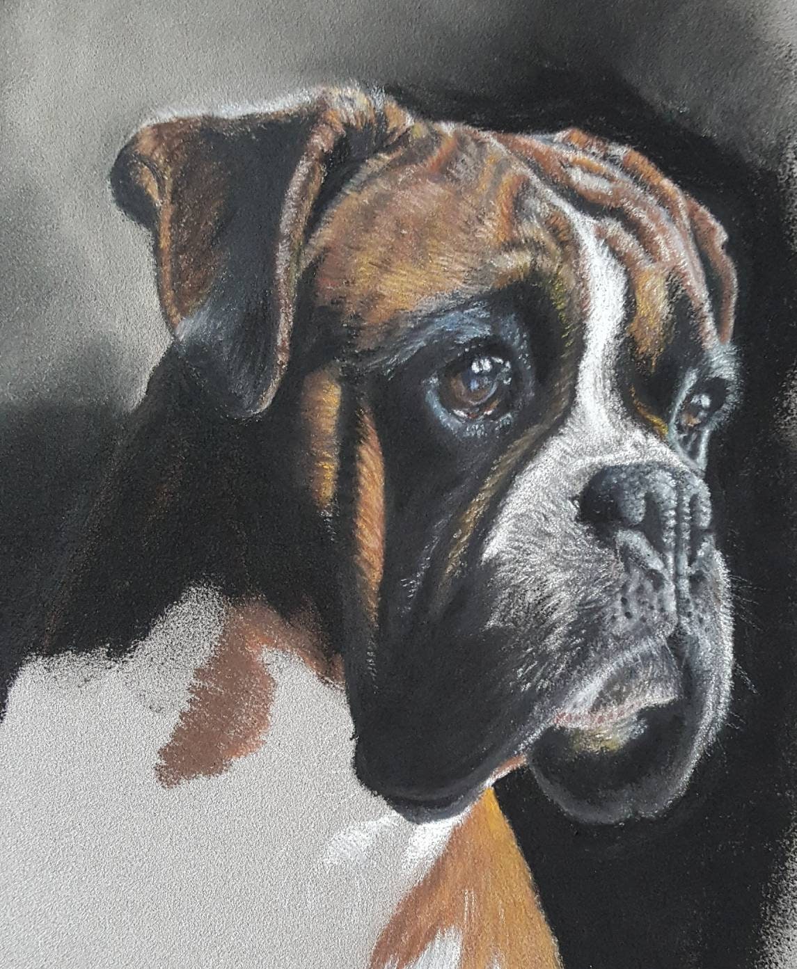 "Waiting" Boxer dog original drawing