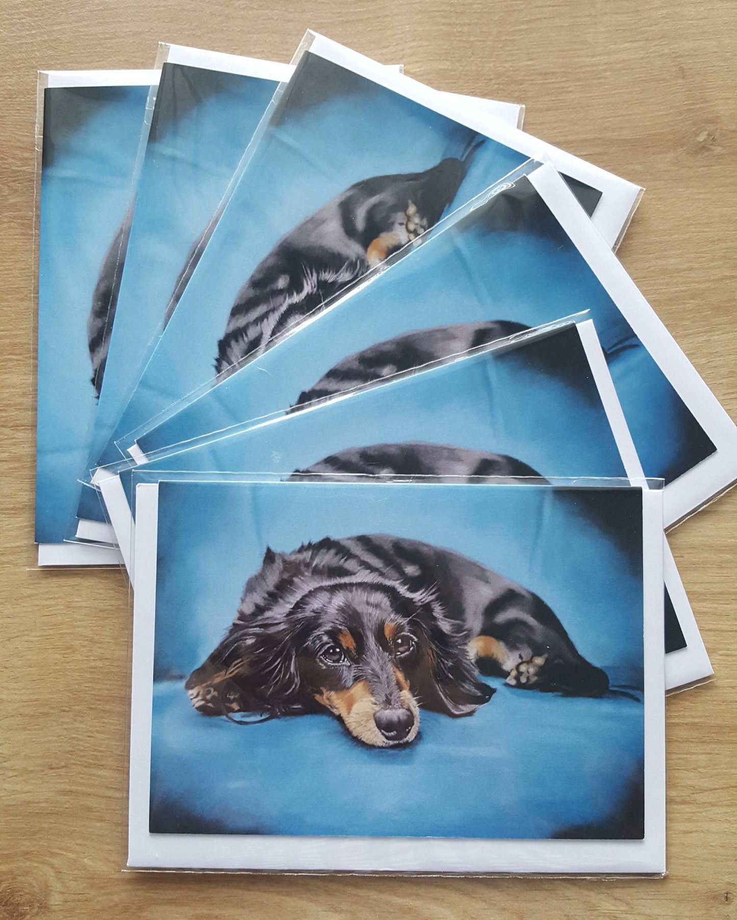 "Little Dog on a Blue Chair" Pack of 5 Dachshund greetings cards