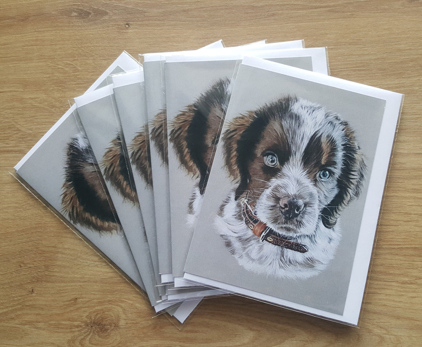 "Barney" spaniel puppy greetings card