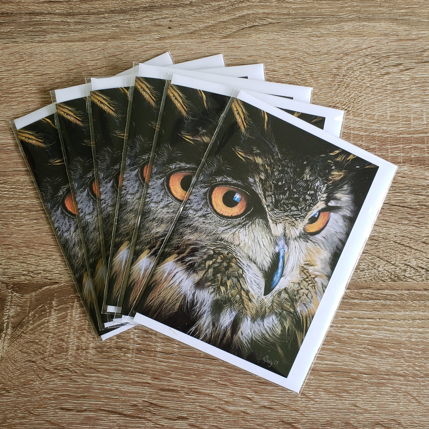 Pack of 6 owl cards "Eurasian Eagle Owl"