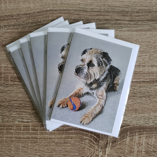 Copy of "Beryl" Pack of 6 Border Terrier greetings cards