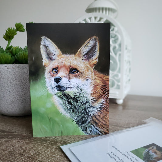 "Fox in the Rain" Red Fox greetings card