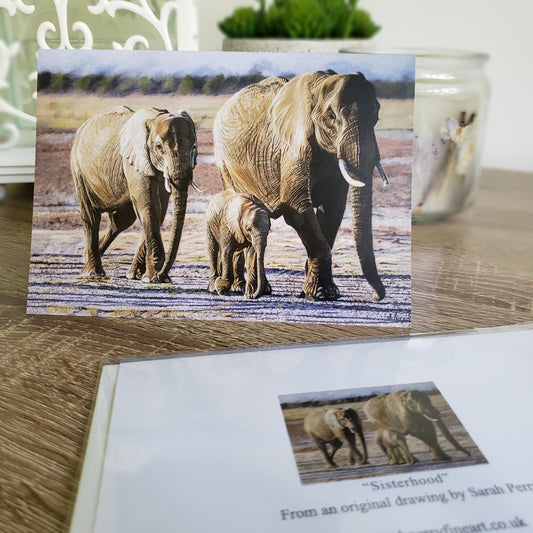 Pack of 6 elephant cards "Sisterhood"