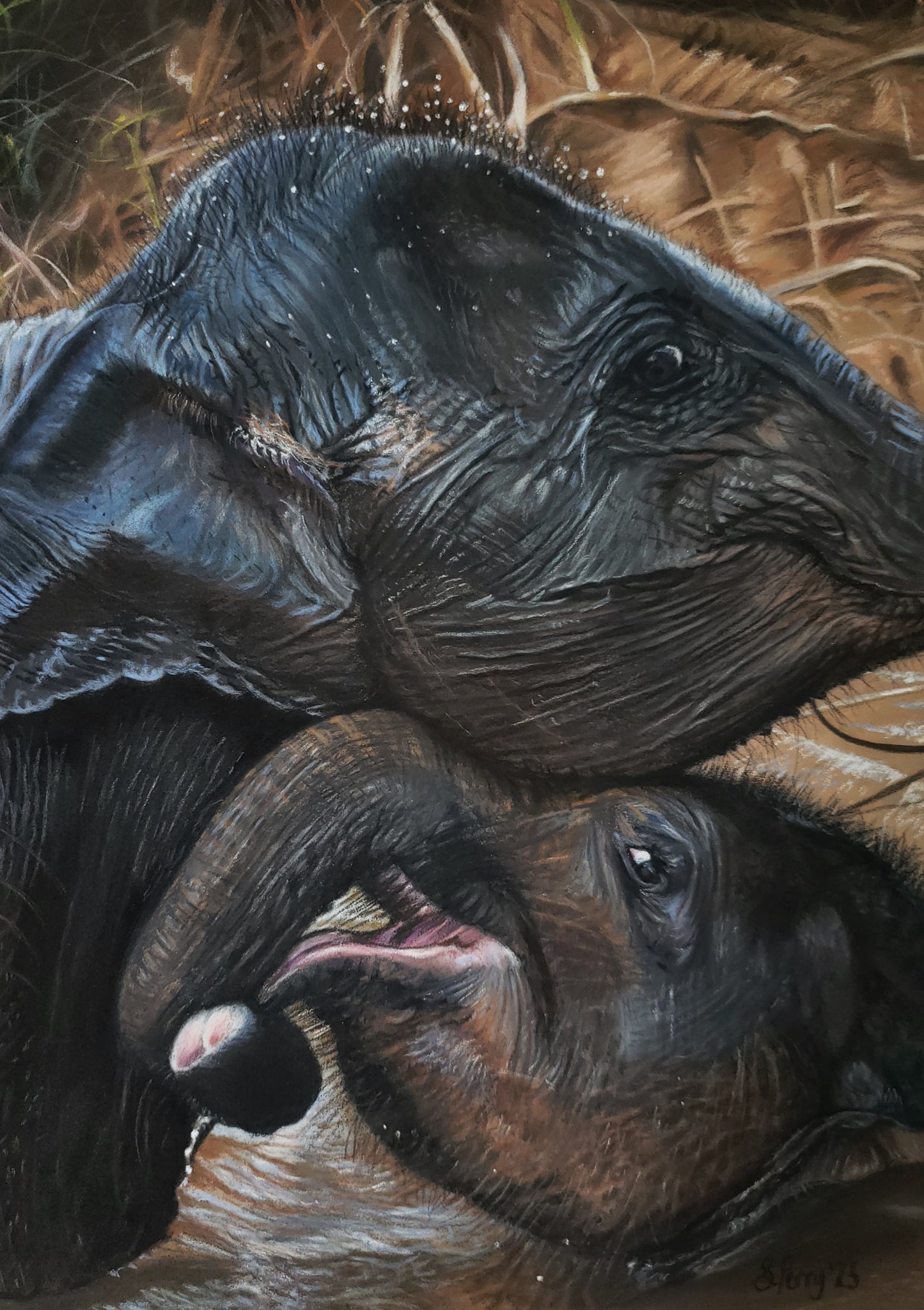 "Friendship", Original drawing of elephant calves