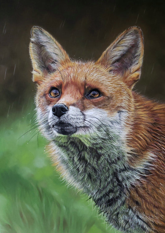 "Fox in the Rain" giclee print