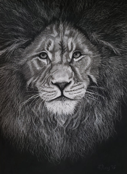 "KIng" Lion limited edition giclée print
