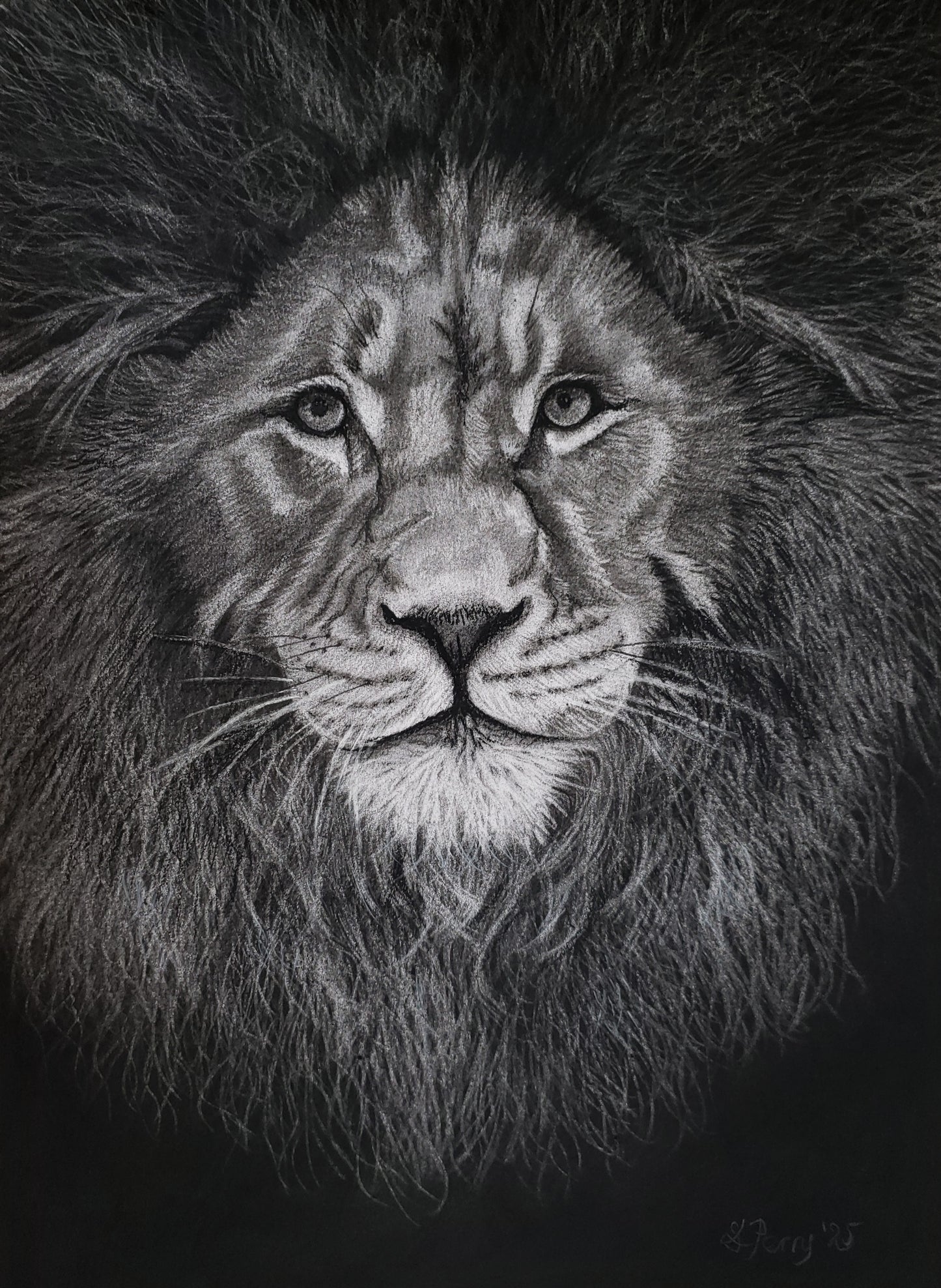 "KIng" Lion limited edition giclée print
