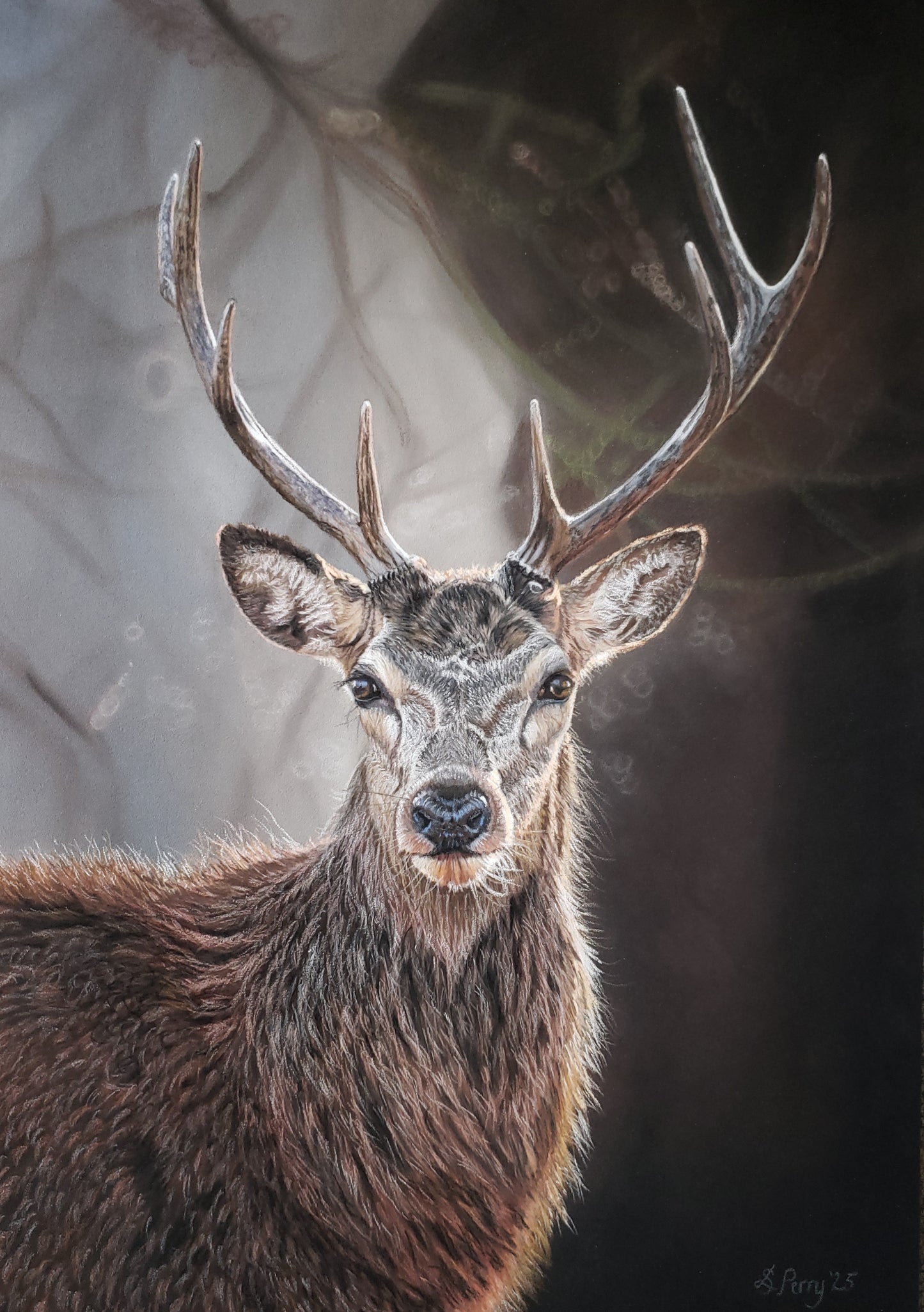 "Monarch"  Stag limited edition giclée print