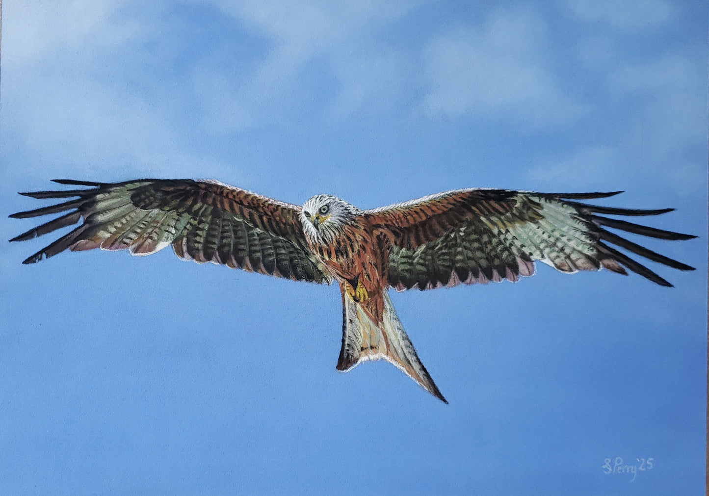 "Kite in Flight" Red Kite giclee print