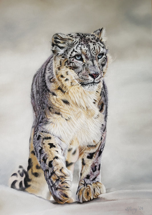 "Ghost" Snow Leopard giclee print
