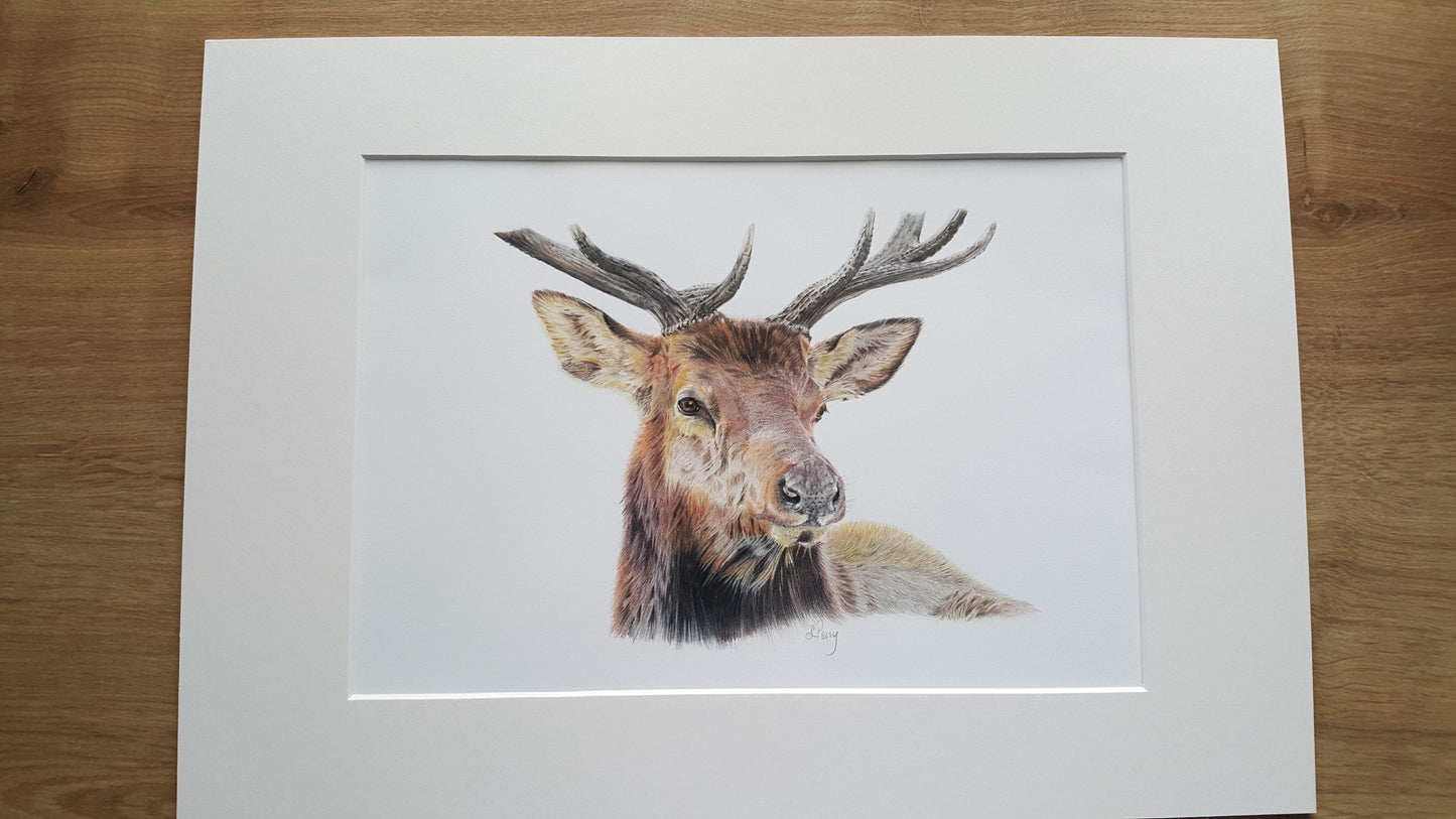 "Majestic Stag" original drawing