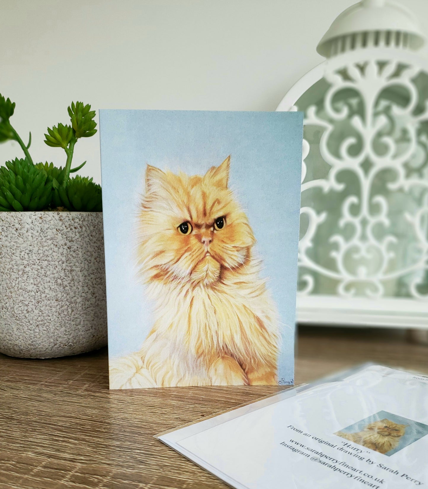 "Harry" Persian cat greetings card