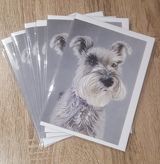 "Ember" Pack of 5 Schnauzer greetings cards