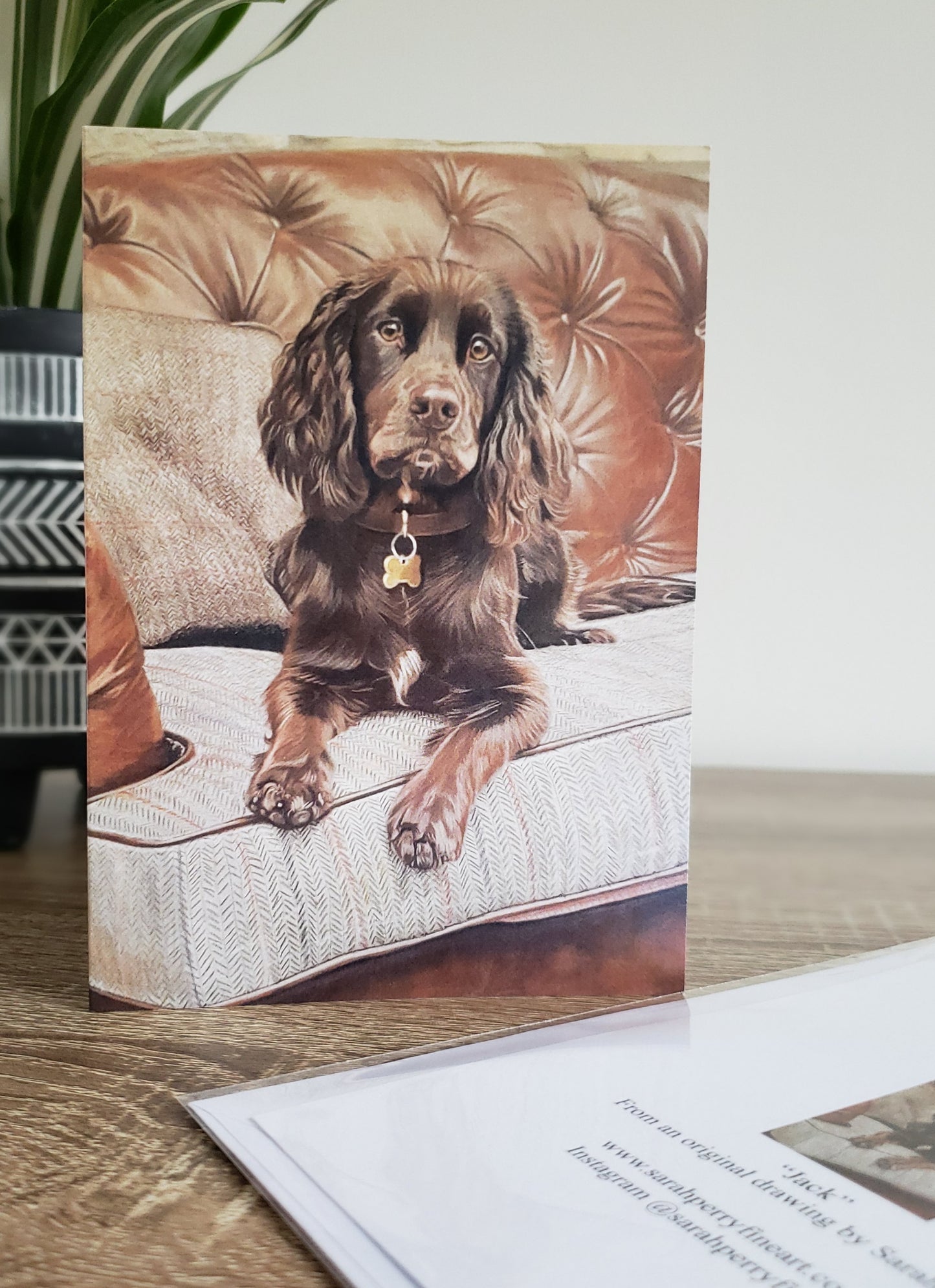 "Jack" Cocker Spaniel greetings card
