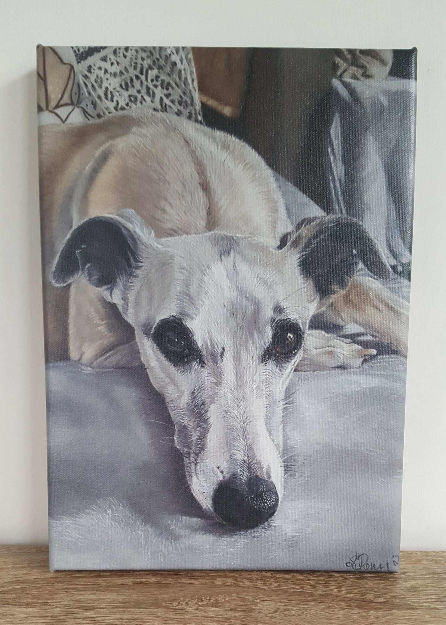 "Soulful" Whippet Limited edition canvas print