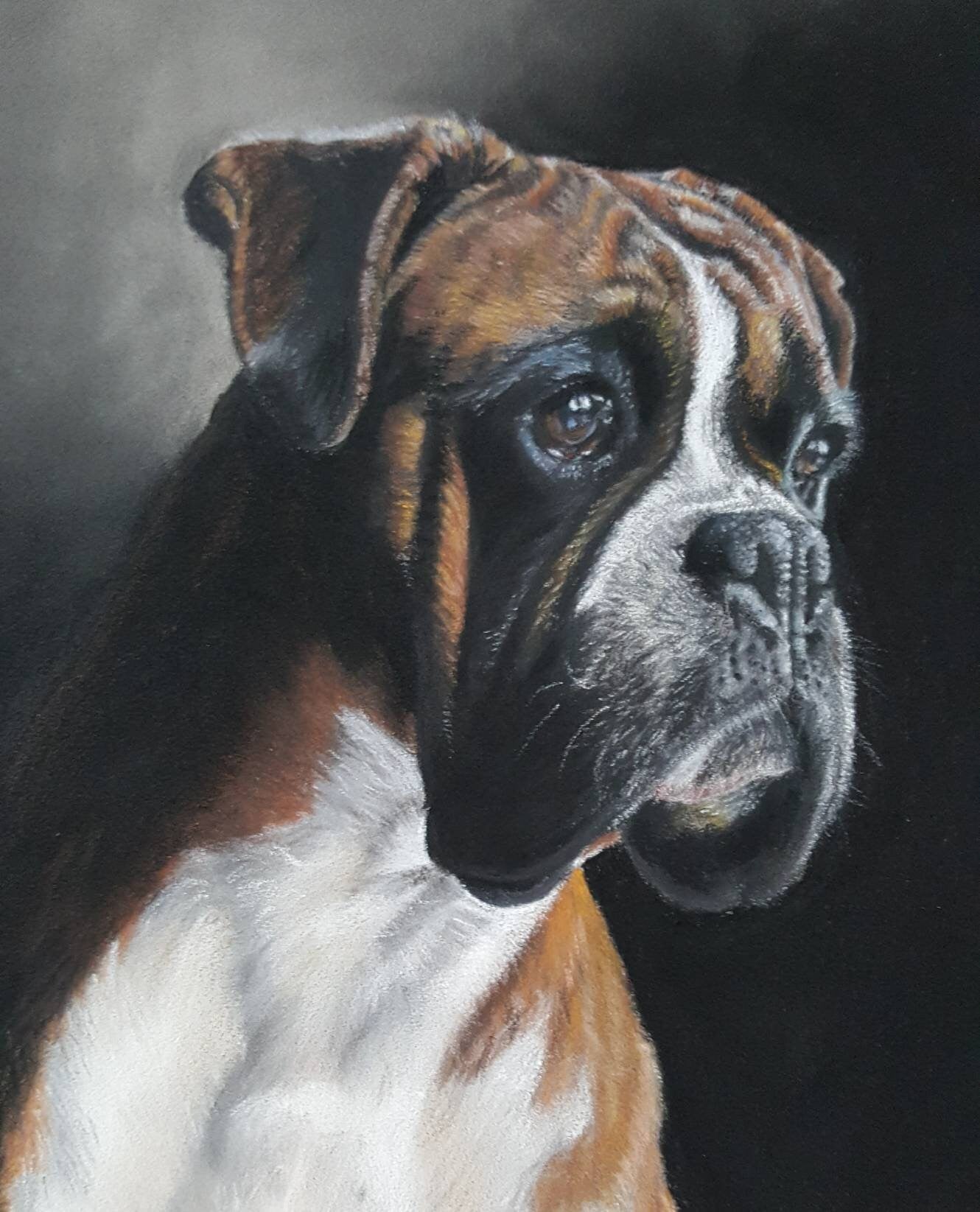 "Waiting" Boxer dog original drawing