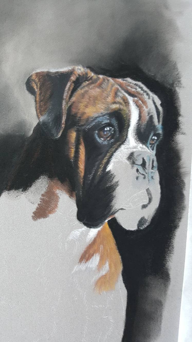 "Waiting" Boxer dog original drawing