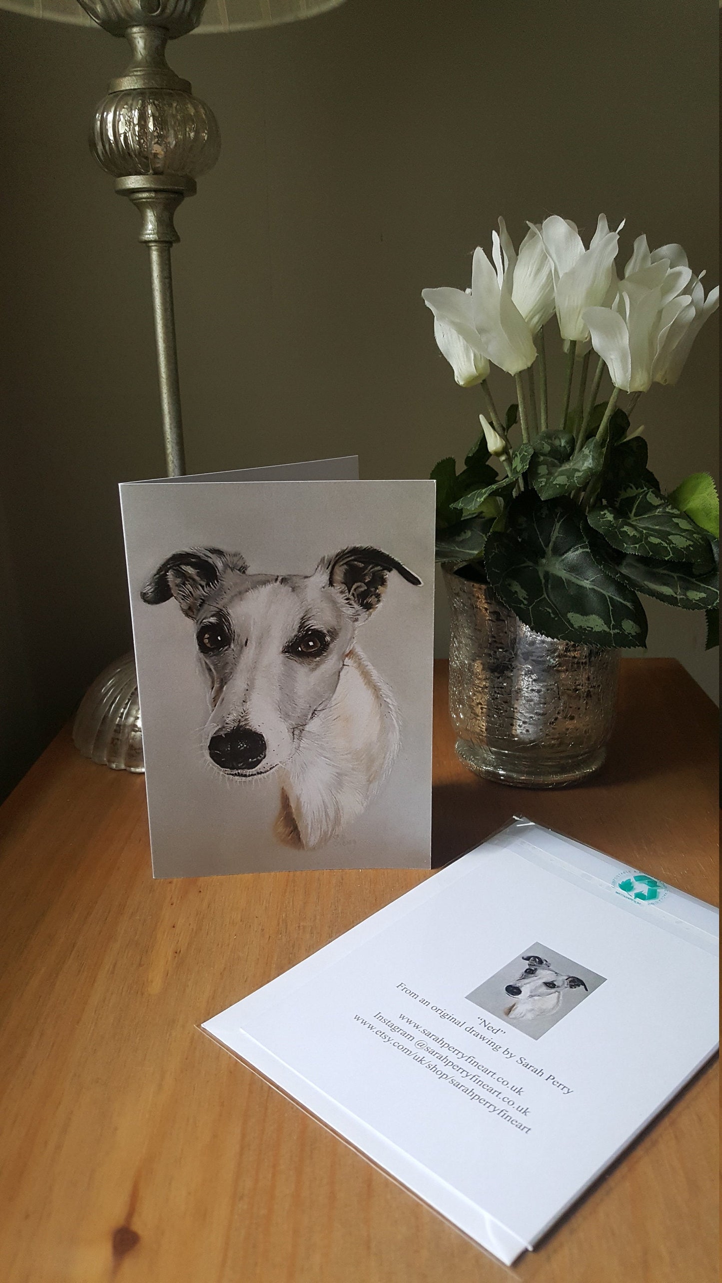 "Ned" Pack of 5 whippet greetings cards