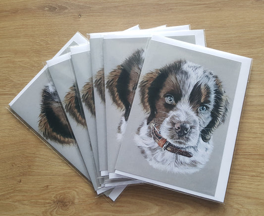 "Barney" Pack of 5 spaniel puppy greetings cards