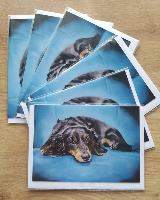 "Little Dog on a Blue Chair" Pack of 5 Dachshund greetings cards