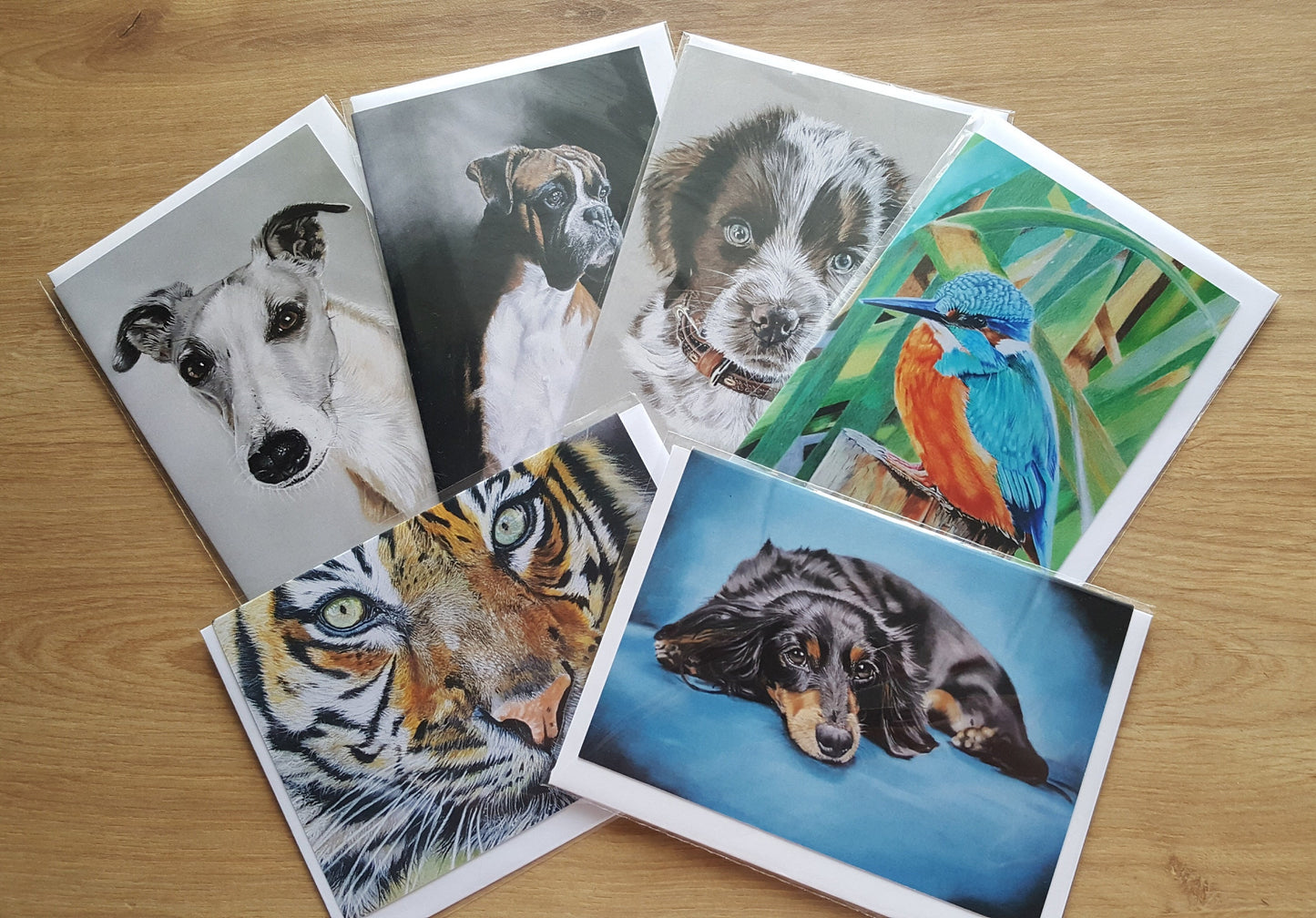 Pack of any 5 greetings cards designs