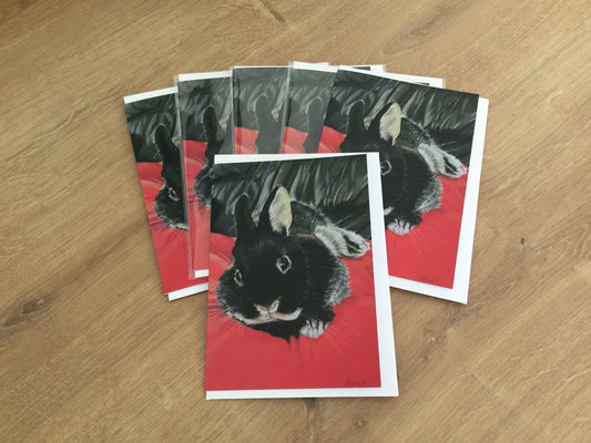 "Betsy" Pack of 5 rabbit greetings cards