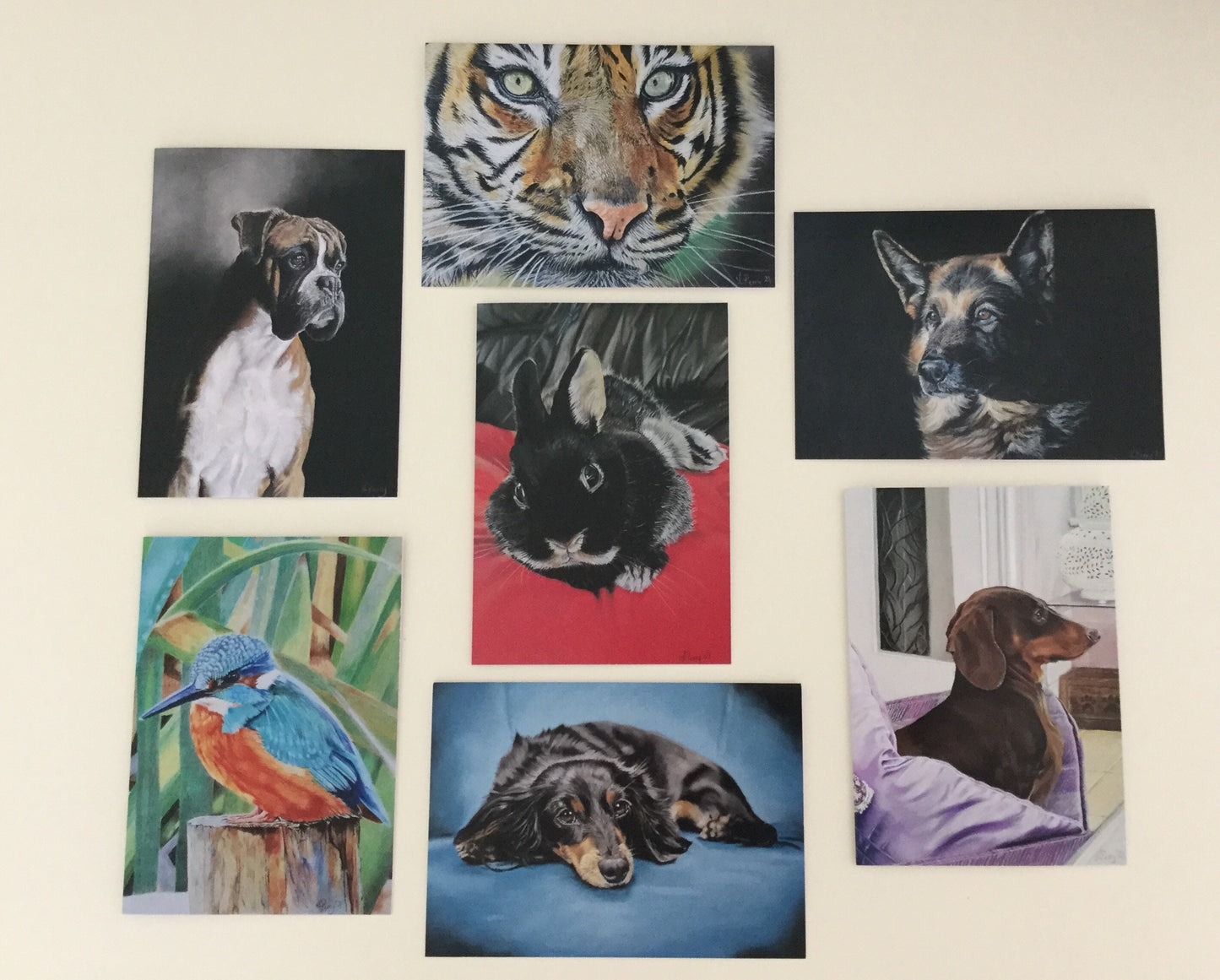 Pack of any 5 greetings cards designs