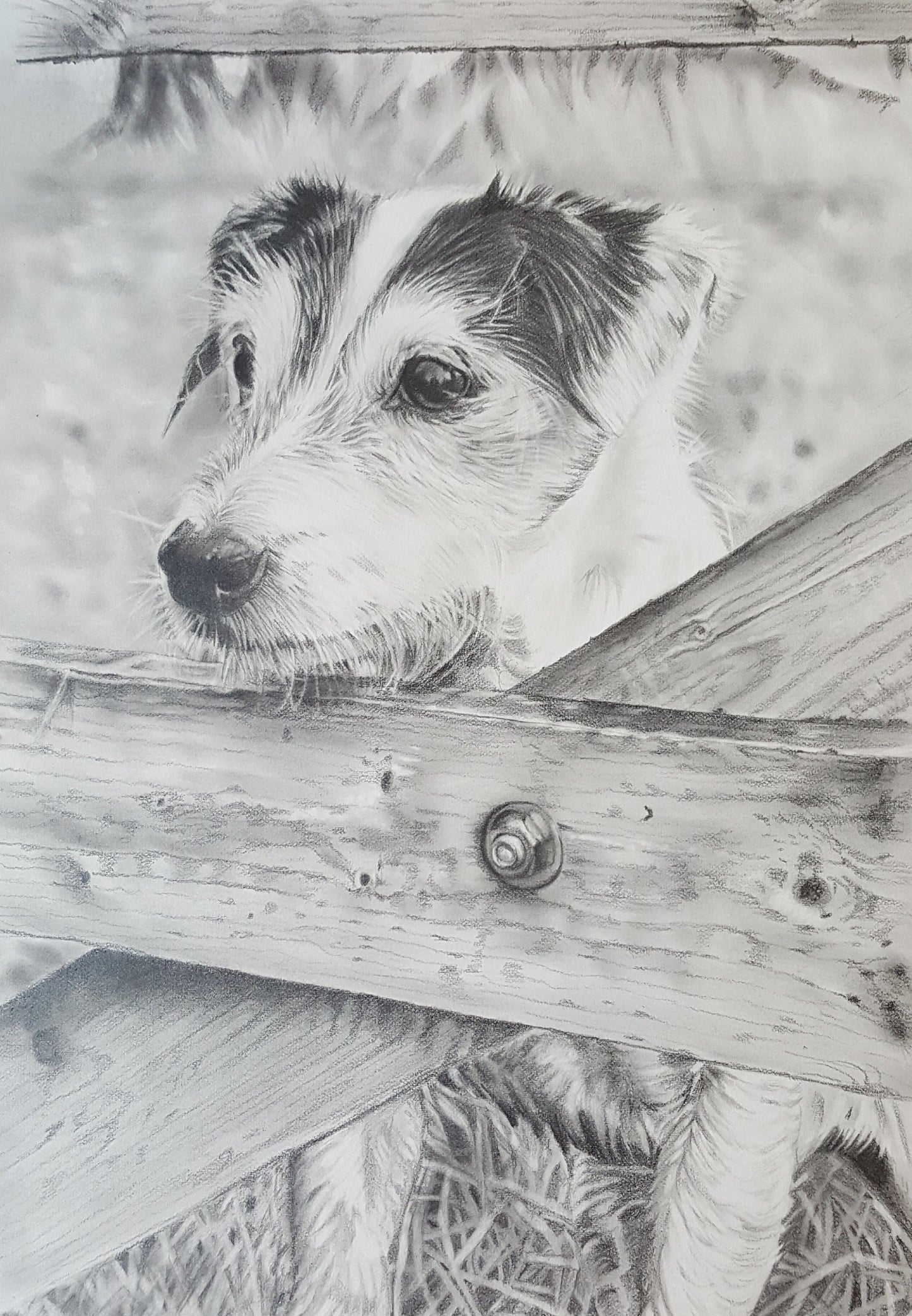 "Monty" Pack of 5 Jack Russell greetings cards