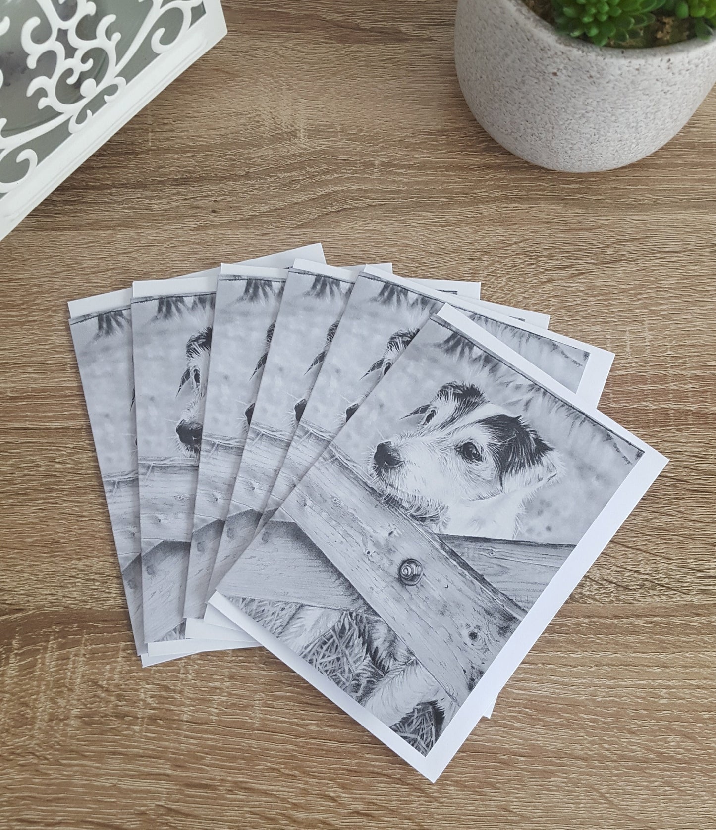 "Monty" Pack of 5 Jack Russell greetings cards