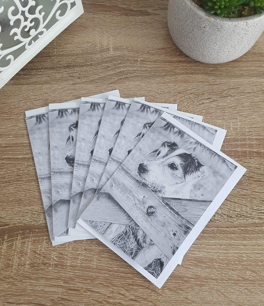 "Monty" Pack of 5 Jack Russell greetings cards