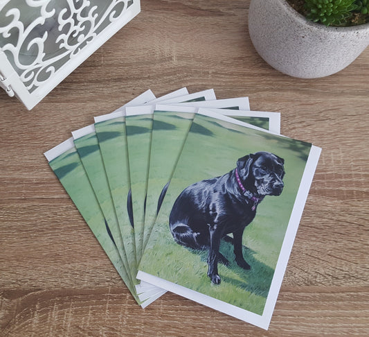 "Madi" Pack of 5 Labrador greetings cards