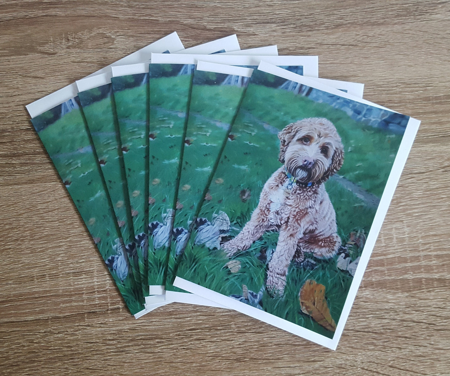 "Connie" Pack of 5 Cockerpoo greetings cards