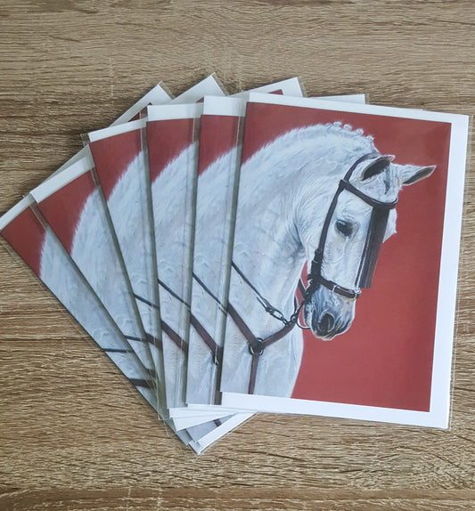 "The Andalusian Horse" Pack of 5 horse greetings cards