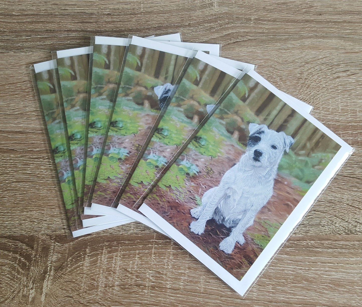 "Florence" Pack of 5 Parsons Russell greetings cards