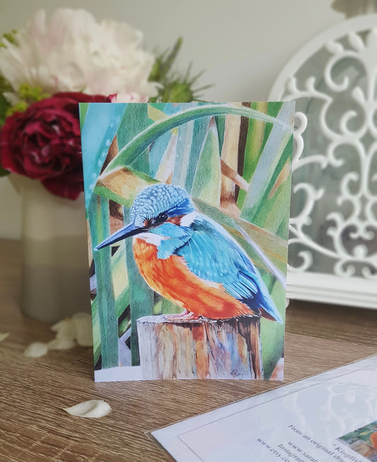 Kingfisher greetings card