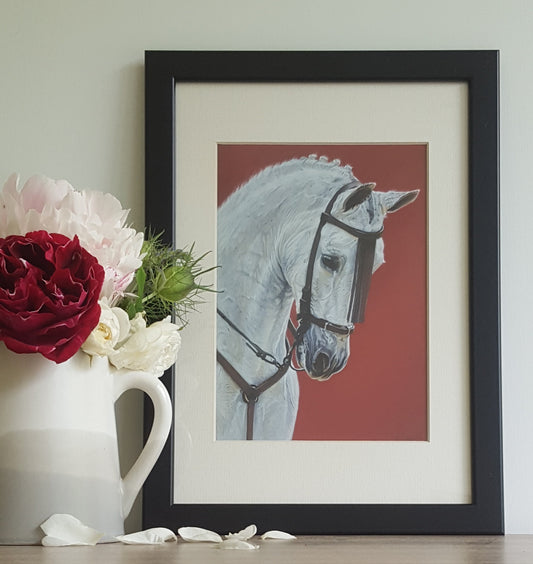 "The Andalusian Horse" Horse giclee print